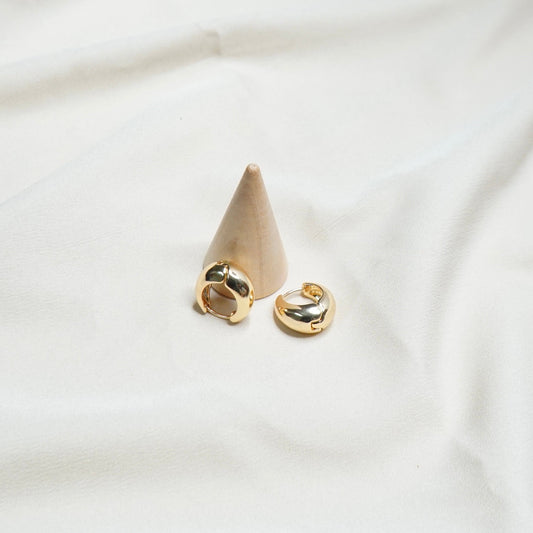 Curved Hoop Earrings
